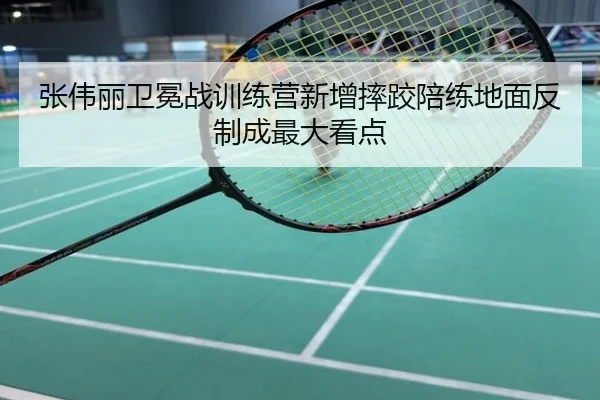 张伟丽卫冕战训练营新增摔跤陪练地面反制成最大看点